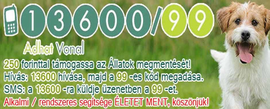 állatmenhelyek kutya, cica, gazdit kereső kutya, macska, állatmenhely, örökbe fogadhatók, adóbevalláskor adó 1 felajánlás